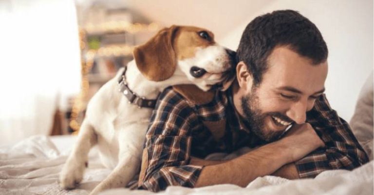 Airbnb para mascotas