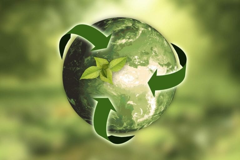 How to run a sustainable ecommerce