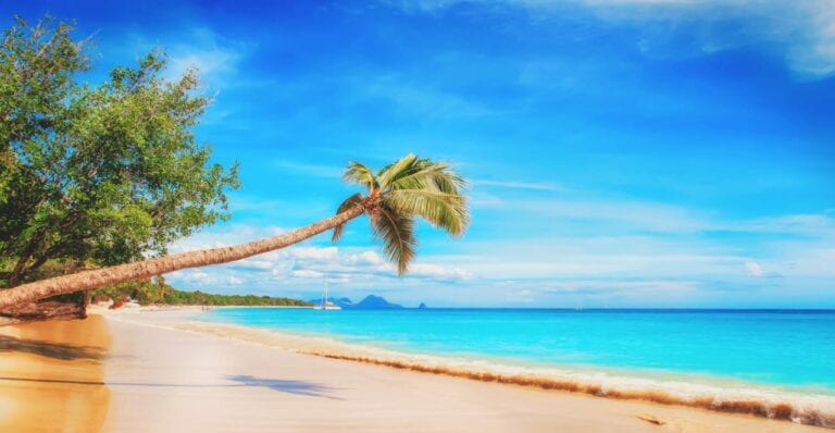 How to survive managing your team’s vacations