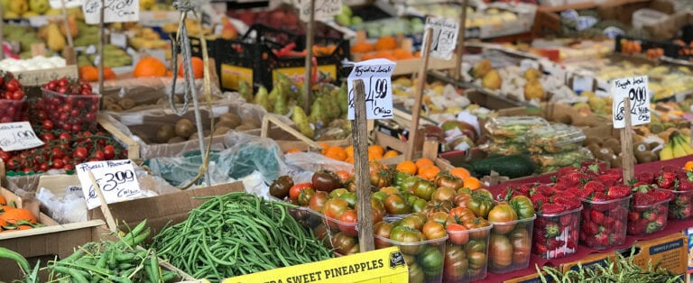 ¿Cómo ayuda un ERP a la trazabilidad alimentaria?