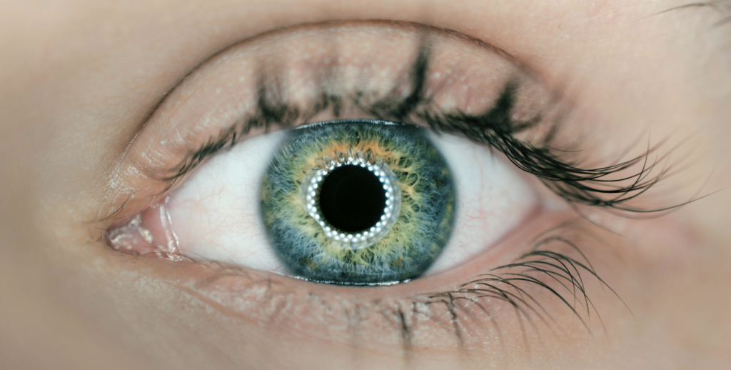 Lentillas de realidad aumentada