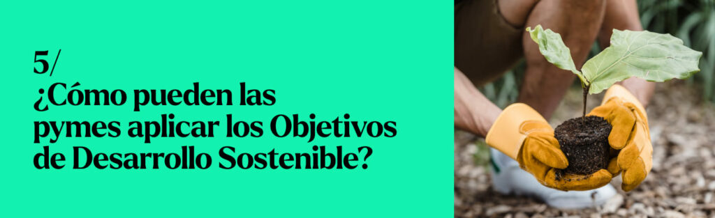 noticias pequeñas empresas